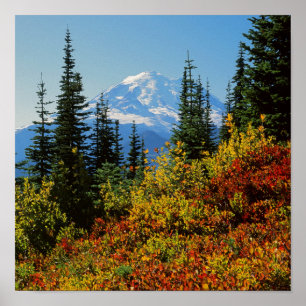Póster Estados Unidos, Washington, Parque Nacional del Mo