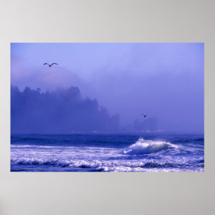 Póster Estados Unidos, Washington, Parque Nacional Olímpi