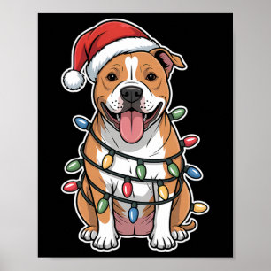 Póster Estadounidense Staffordshire Terrier Envuelto En C