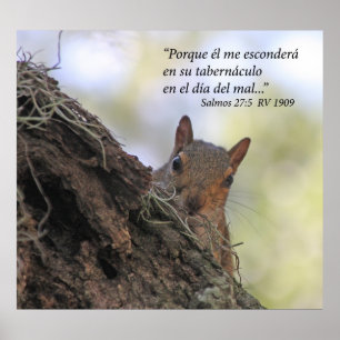 Póster Estafa Ardilla de Salmos 27-5