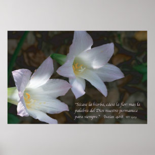 Póster Estafa Lirios del 40:8 de Isaias