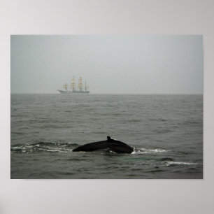 Póster Estampa de ballena jorobada y barco alto