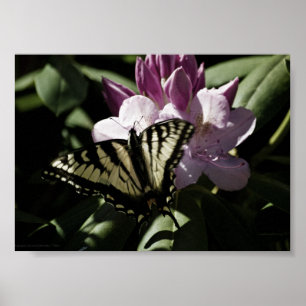 Póster Estampa de cola de golondrina y rododendro