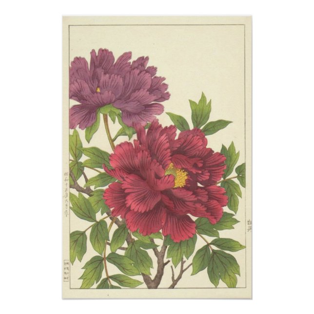 Póster Estampa de flores japonesas de peonía de Nishimura (Anverso)