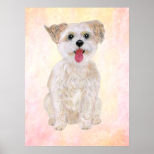 Póster Estampa de perro Morkie con fondo colorido