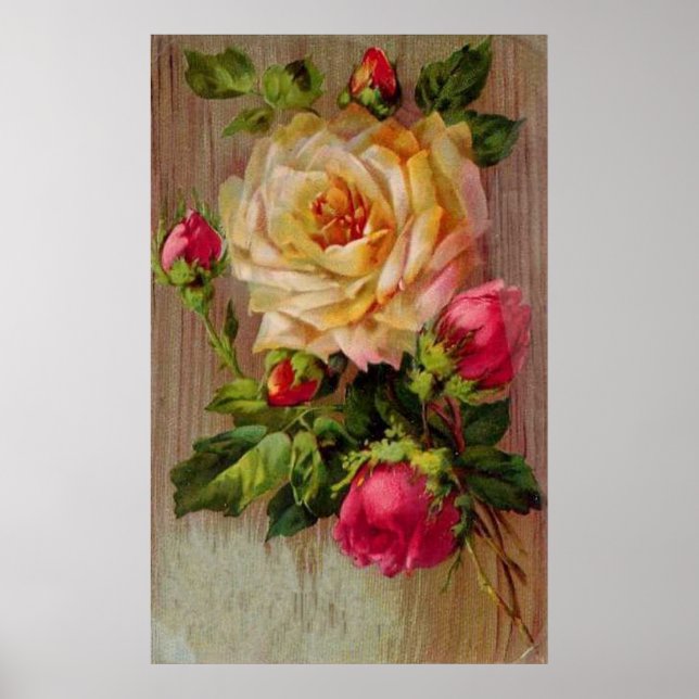 Póster Estampa de rosa vintage (Frente)
