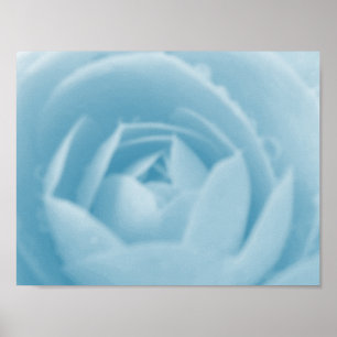 Póster Estampa de torbellino de Camellia