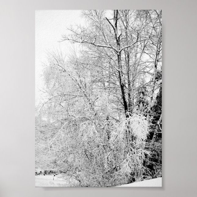 Póster Estampado Blancos de Invierno (Frente)