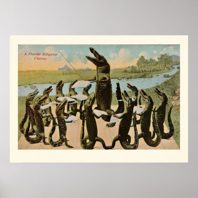 Póster Estampado de caimanes cantando (Frente)