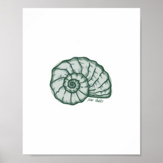 Póster Estampado de concha marina