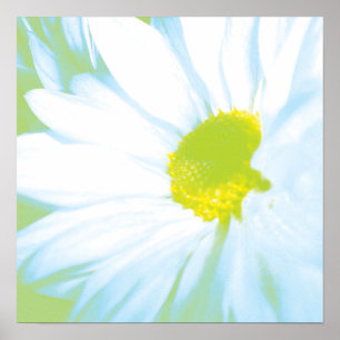 Póster Estampado de flores blanco suave