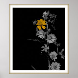 Póster Estampado de flores del compás