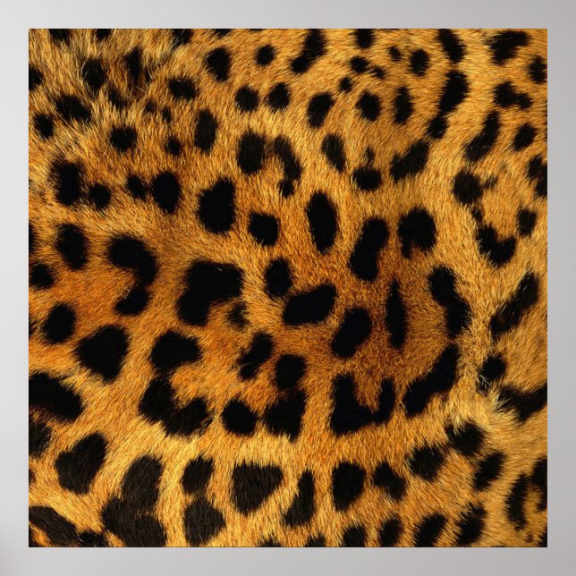 Póster estampado de leopardo marrón de patrón animal de m (Frente)
