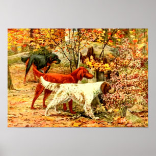 Póster Estandantes irlandeses en otoño