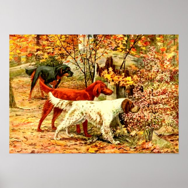 Póster Estandantes irlandeses en otoño (Frente)