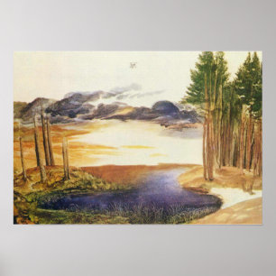 Póster Estanque Albrecht Durer en la madera