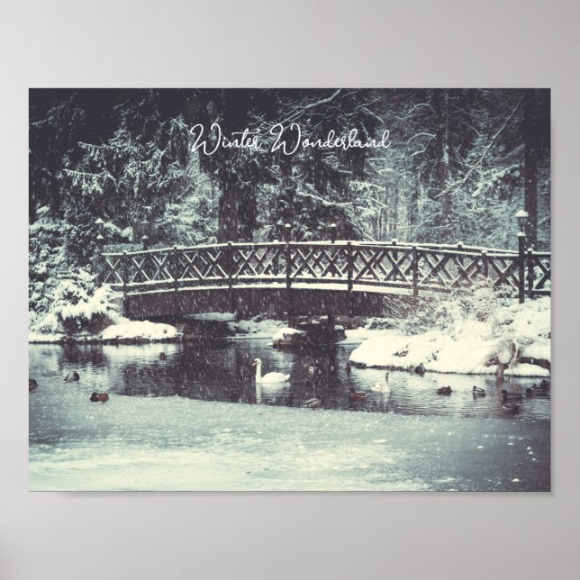 Póster Estanque de invierno (Frente)