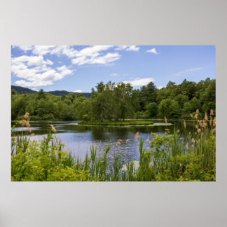 Póster Estanque Plum Brook