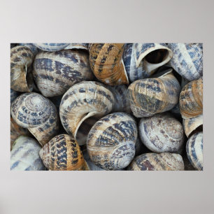 Póster Estanques de caracol