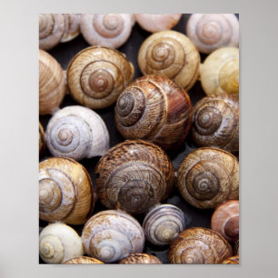 Póster Estanques de caracol
