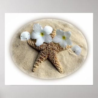 Póster Estanques de langosta Plumeria en arena