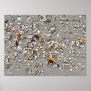 Póster Estanques rotos en Cabo San Blas, Florida
