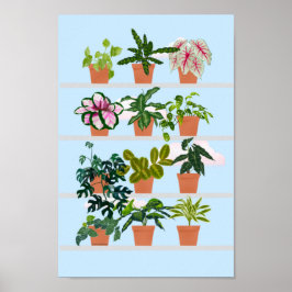 Póster Estanterías de ventanas con plantas domésticas