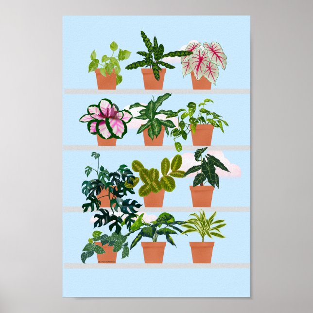 Póster Estanterías de ventanas con plantas domésticas (Frente)