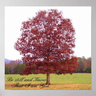 Póster Estar quieto