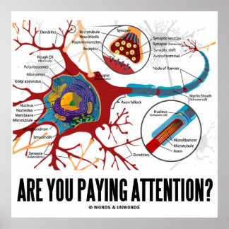 Póster ¿Estás Prestando Atención? (Neurona / Sinapsis)