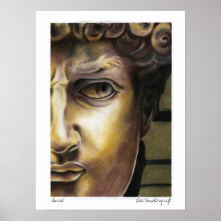 Póster Estatua de David por Lee Vandergrift
