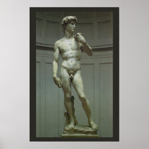 Póster Estatua de David por Michelangelo