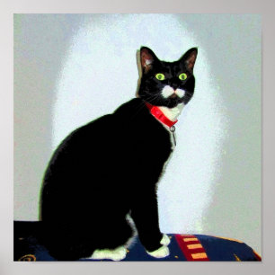 Póster Estatua Lucy