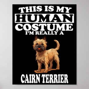 Póster Este Es Mi Disfraz De Humano Realmente Soy Un Cair