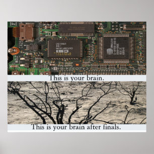 Póster Éste es su cerebro