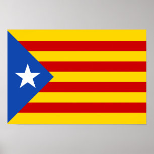 Póster Estelada