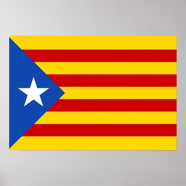 Póster Estelada (Frente)