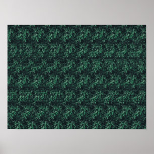 Póster Esterograma 3D oculto hacia atrás