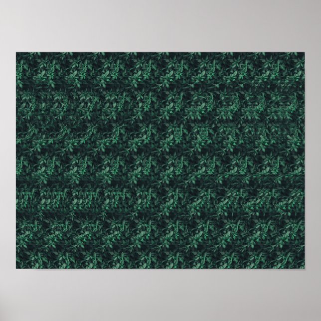 Póster Esterograma 3D oculto hacia atrás (Frente)