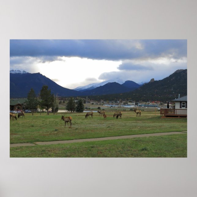 Póster Estes Park, Co (Frente)