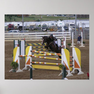 Póster Estes Park Series (5)