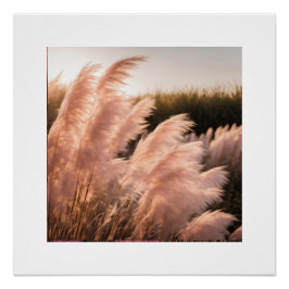 Póster Estética de Pam-pass rosa