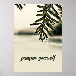 Póster Estética de Spa Naturaleza Tranquila