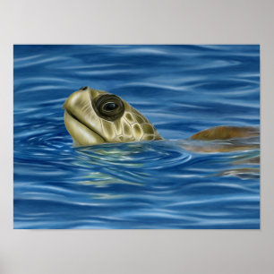 Póster Estilizada tortuga marina de roble oliva