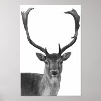Póster estilo cabaña ciervo venado negro blanco