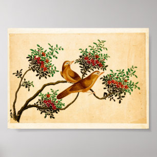 Póster Estilo clásico de la naturaleza vintage de CHINA