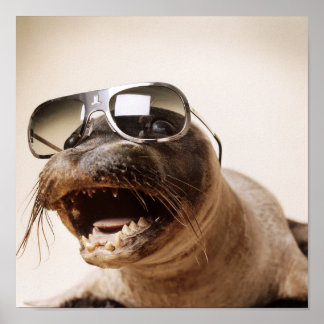 Póster estilo de cierre