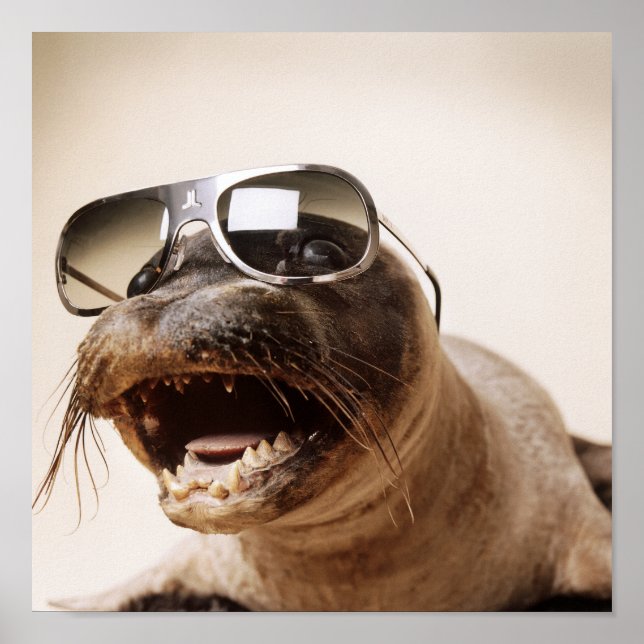 Póster estilo de cierre (Frente)