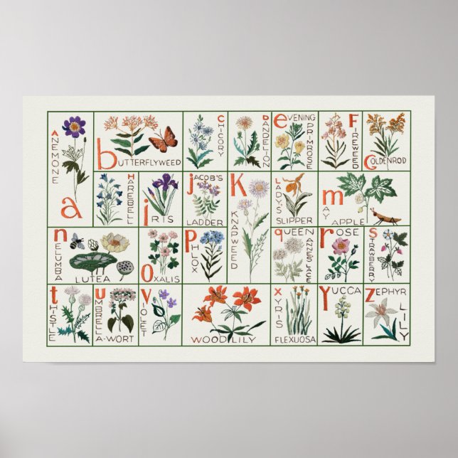 Póster Estilo de época Flor silvestre Alphabet Floral Nur (Frente)