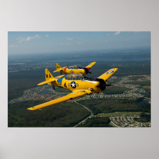 Póster Estilo de formación Volando T6